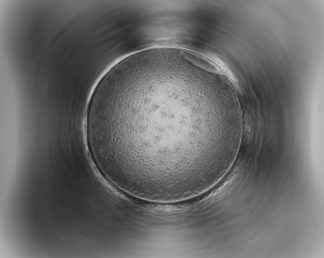 X0000094321100200711021347
