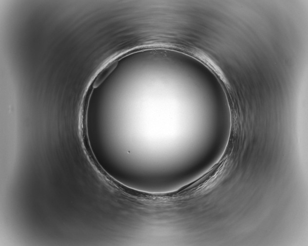 X0000094321101200711021347