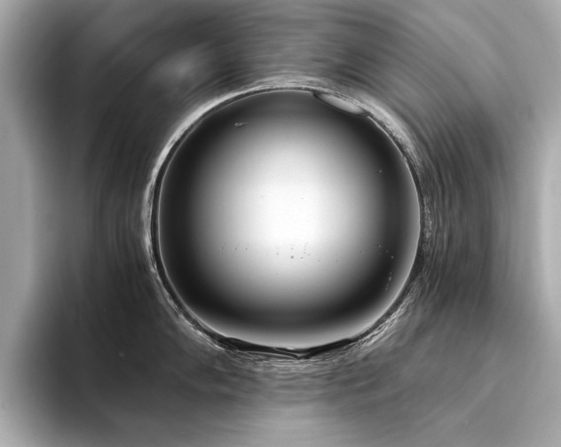 X0000094321102200711021347