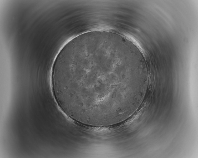X0000094321103200711021347