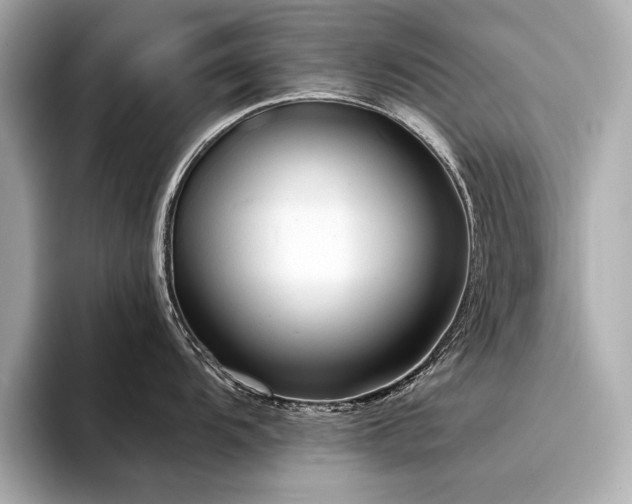X0000094321104200711021347