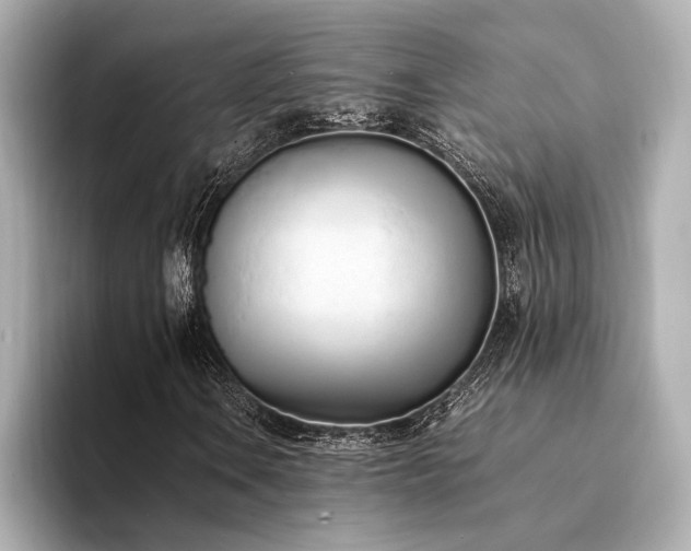 X0000094321106200711021346