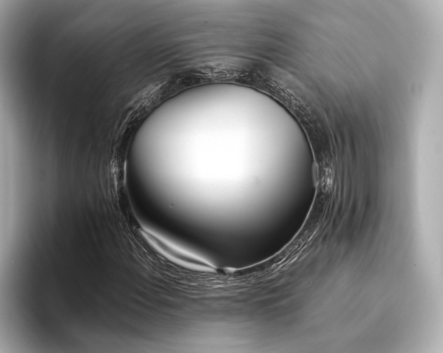 X0000094321108200711021346