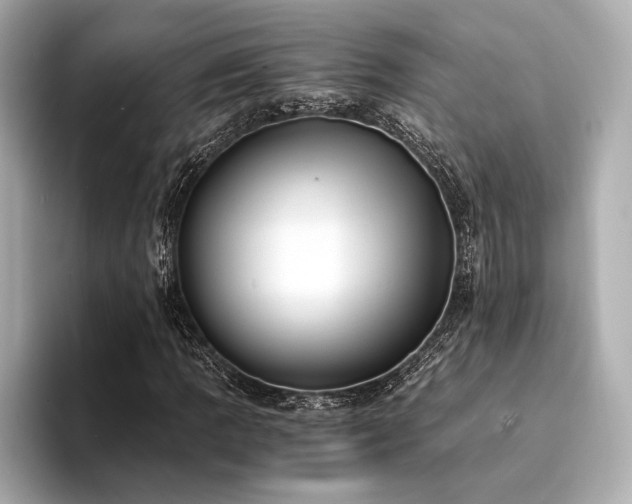 X0000094321109200711021346