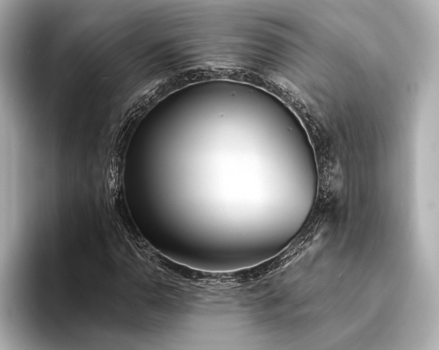 X0000094321110200711021347
