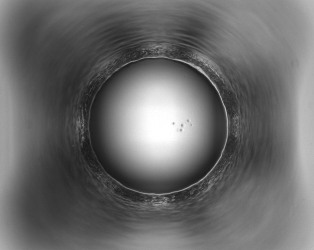 X0000094321111200711021347