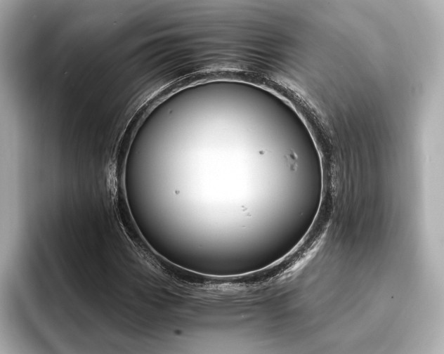 X0000094321113200711021347