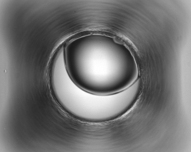 X0000094321114200711021347