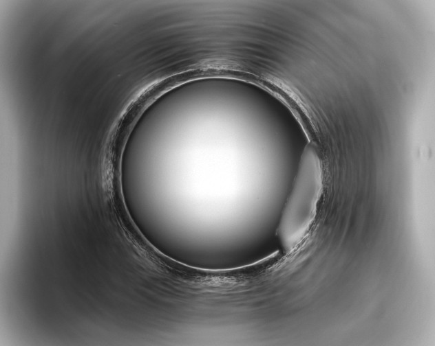 X0000094321115200711021347