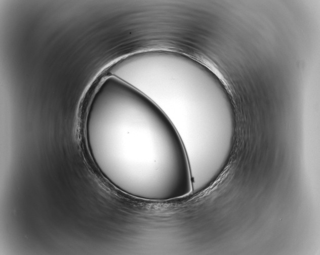 X0000094321116200711021347