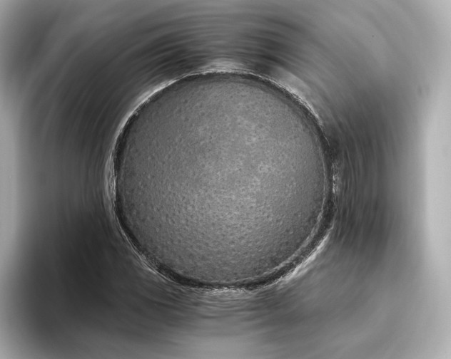 X0000094321117200711021347
