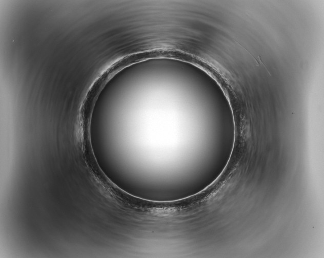 X0000094321118200711021347