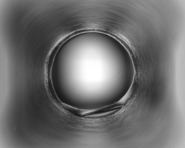 X0000094321120200711021347