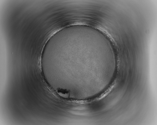 X0000094321121200711021347