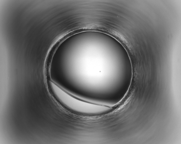X0000094321122200711021347