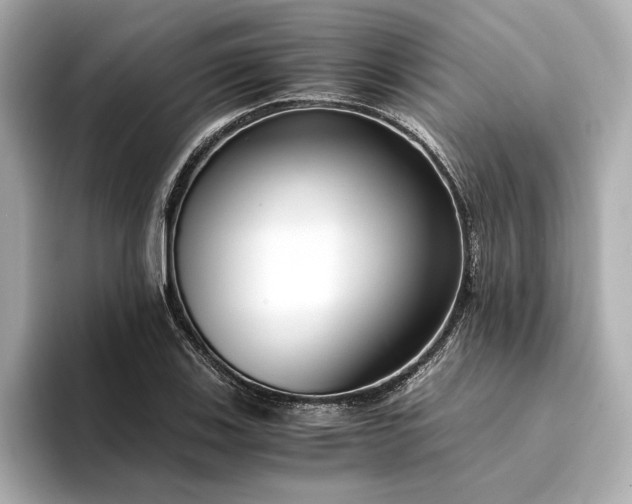 X0000094321123200711021347