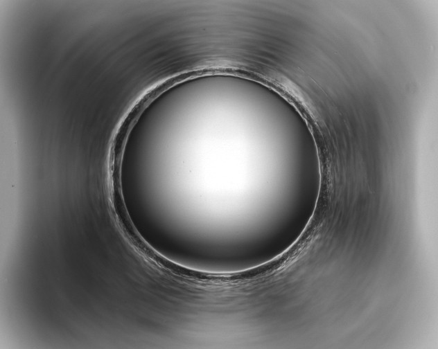 X0000094321124200711021347