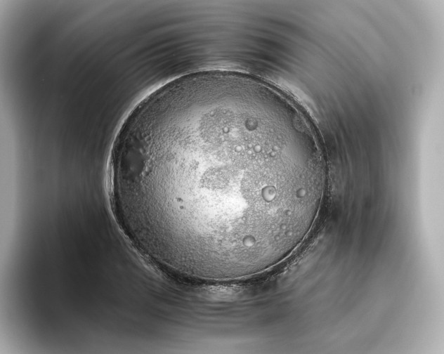 X0000094321125200711021347