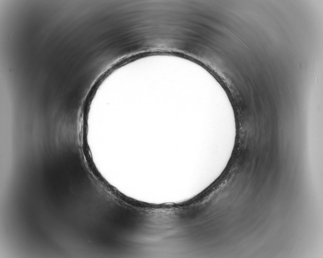 X0000094321126200711021347