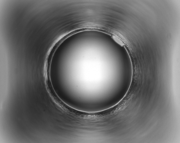X0000094321128200711021347