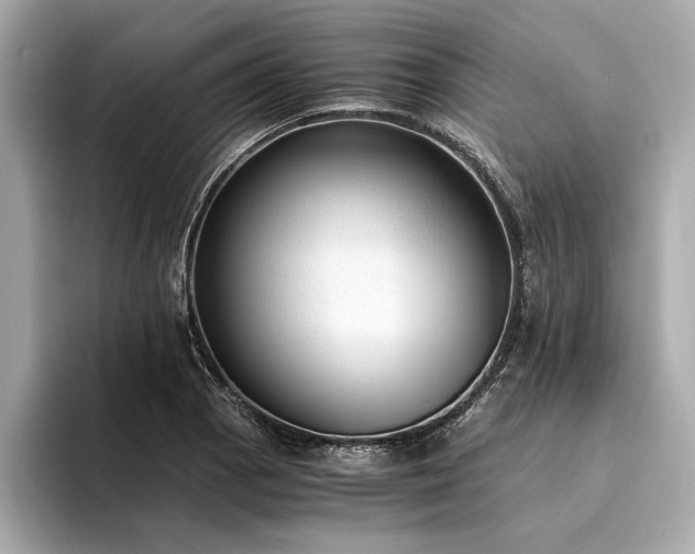 X0000094321129200711021347