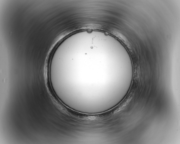 X0000094321130200711021347