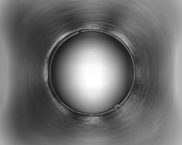 X0000094321131200711021347