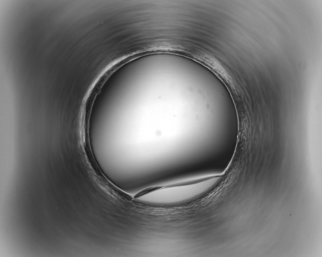 X0000094321132200711021347