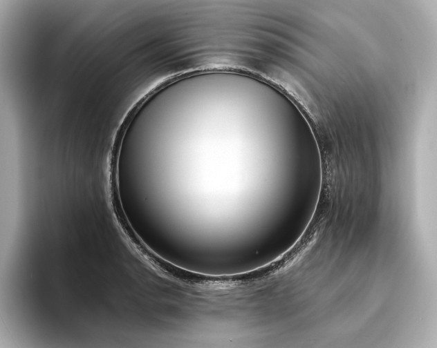 X0000094321134200711021347
