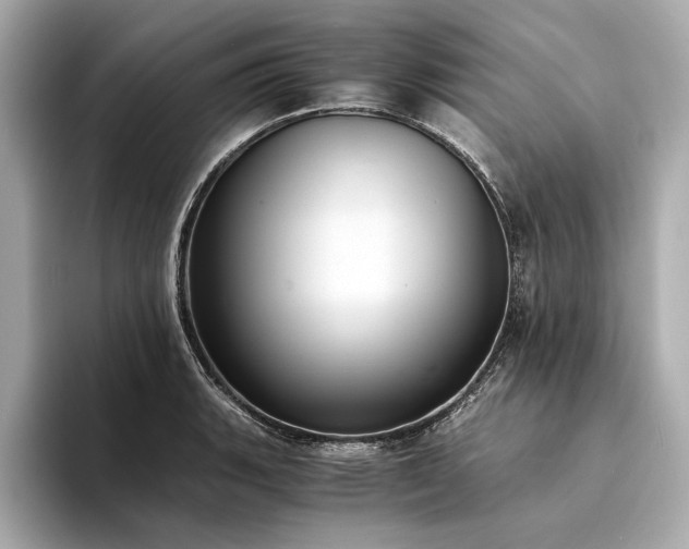 X0000094321135200711021347