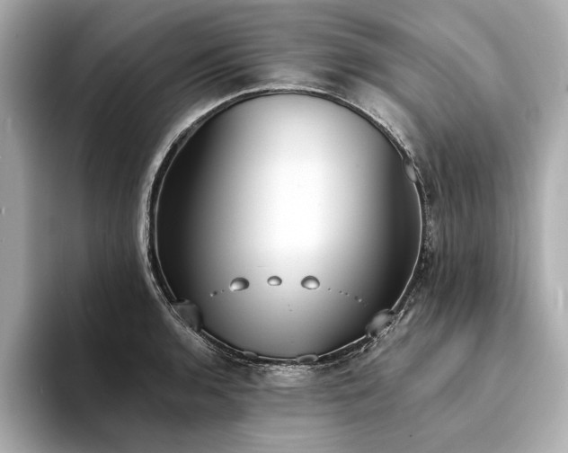X0000094321136200711021347