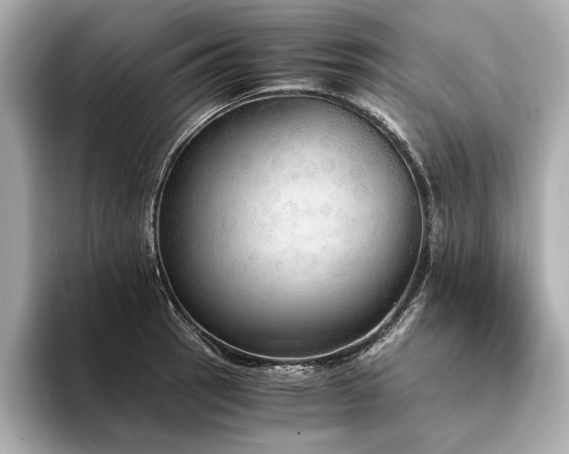 X0000094321137200711021347