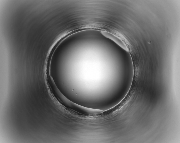 X0000094321138200711021347