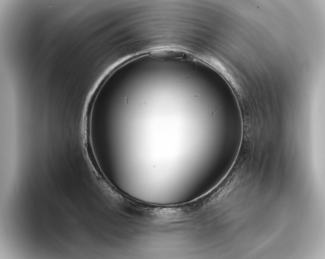 X0000094321140200711021347