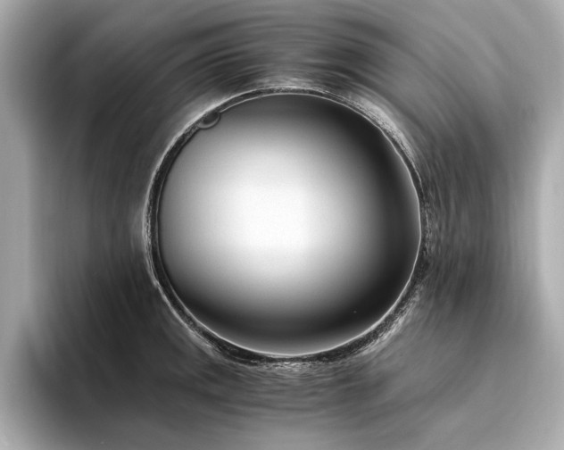 X0000094321141200711021347