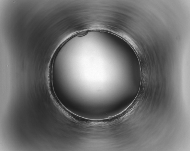 X0000094321142200711021347
