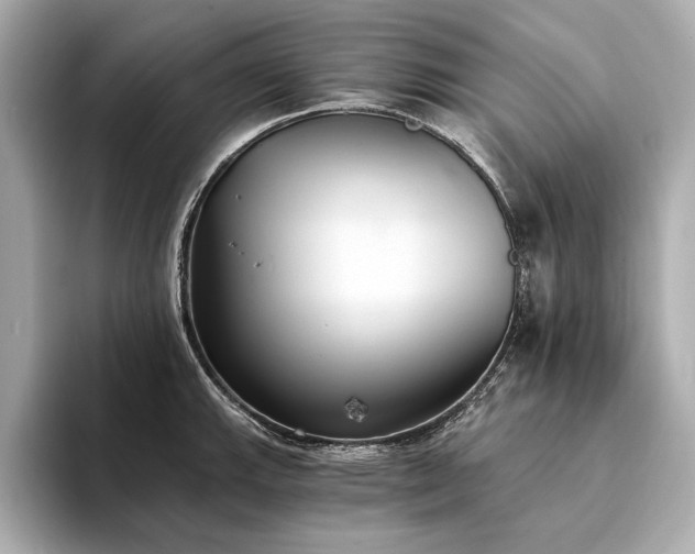 X0000094321143200711021347