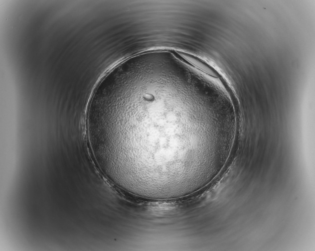 X0000094321145200711021347