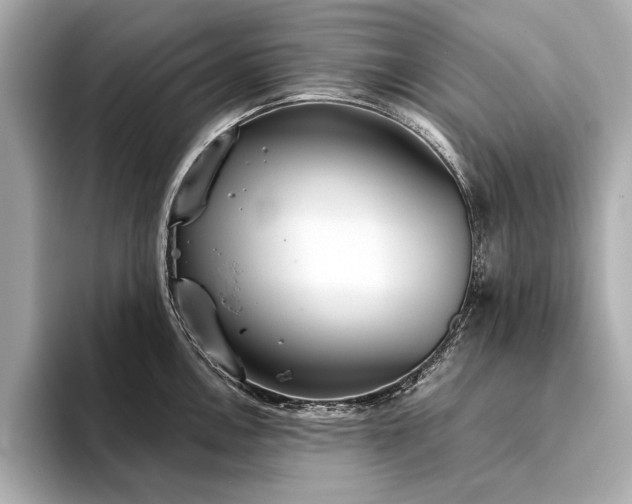 X0000094321146200711021347