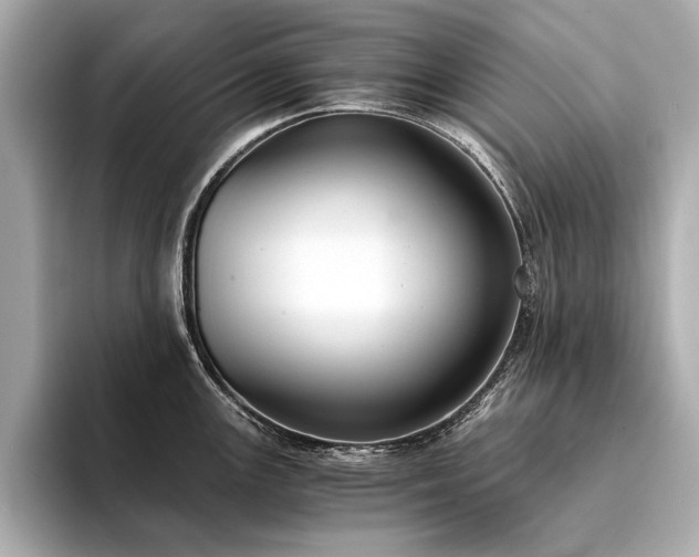 X0000094321147200711021347