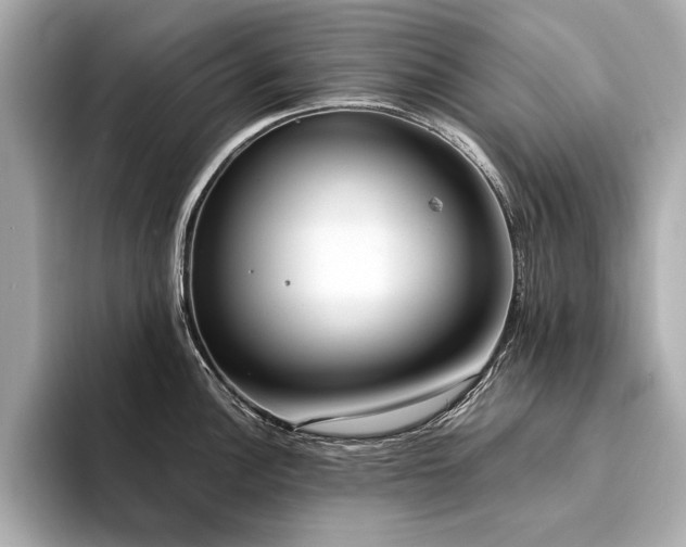 X0000094321148200711021347