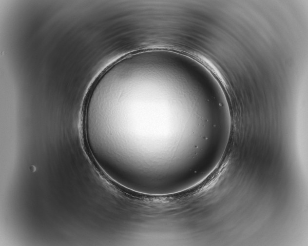 X0000094321149200711021347
