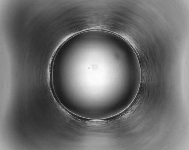 X0000094321151200711021347