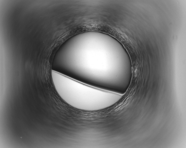 X0000094321156200711021346
