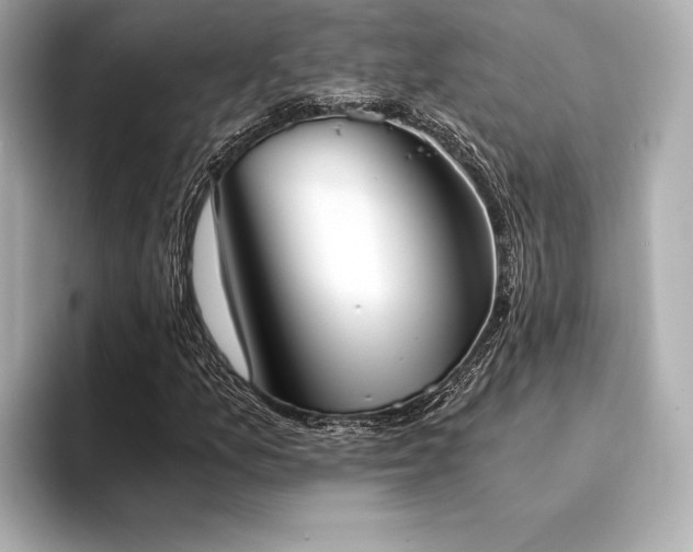 X0000094321157200711021346