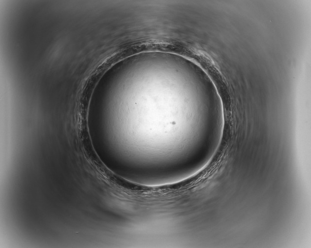 X0000094321159200711021346