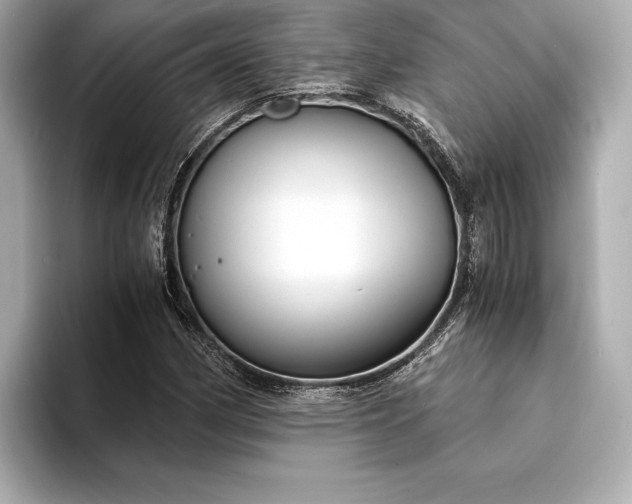 X0000094321162200711021346