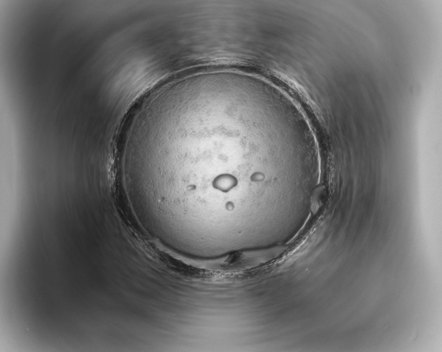 X0000094321163200711021346