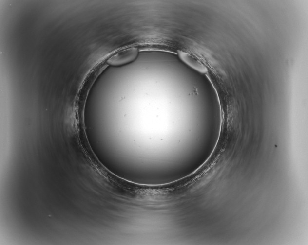X0000094321164200711021346
