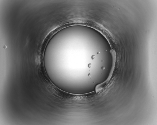 X0000094321166200711021346